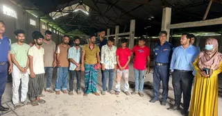 মানিকগঞ্জে ১৩ ঘোড়া জবাই করে মাংস প্রক্রিয়াজাত, ৯ জনের কারাদণ্ড